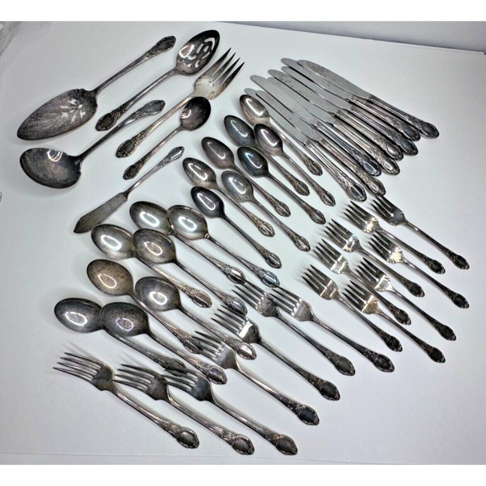 WM A Rogers Oneida PARK LANE SIlver Plated Chatelaine Dowry Silverware set 45 pc